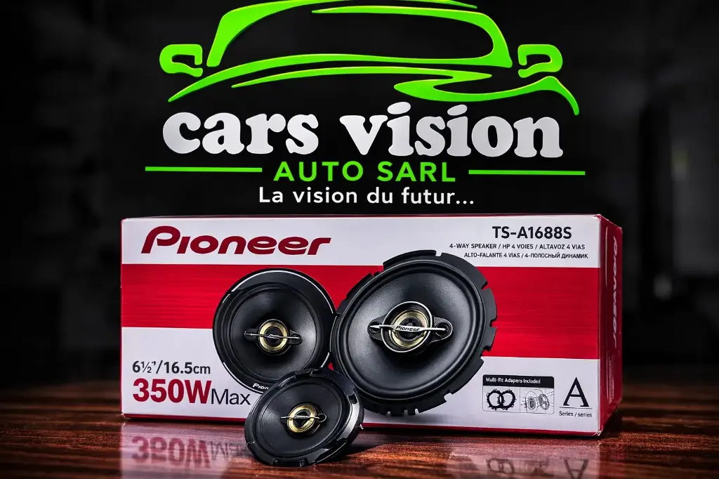 BAFFLE DE PORTIERE PIONEER 350W